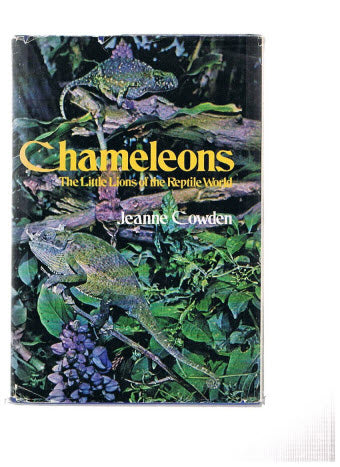 Chameleons ( Kameleon )