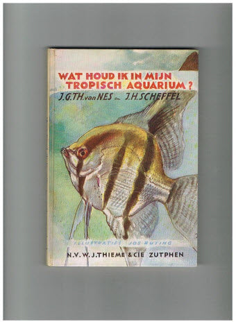 Wat Houd Ik in Mijn Tropisch Aquarium?