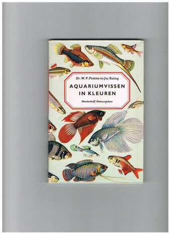 Aquariumvissen in Kleuren