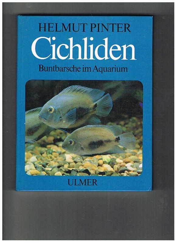 Cichliden Buntbarsche im Aquarium