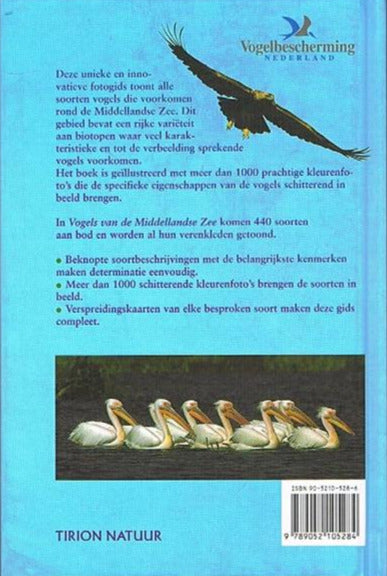 Vogels van de Middelandse Zee