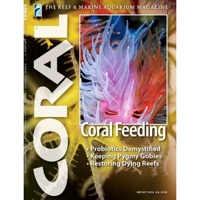 Coral - Coral Feeding