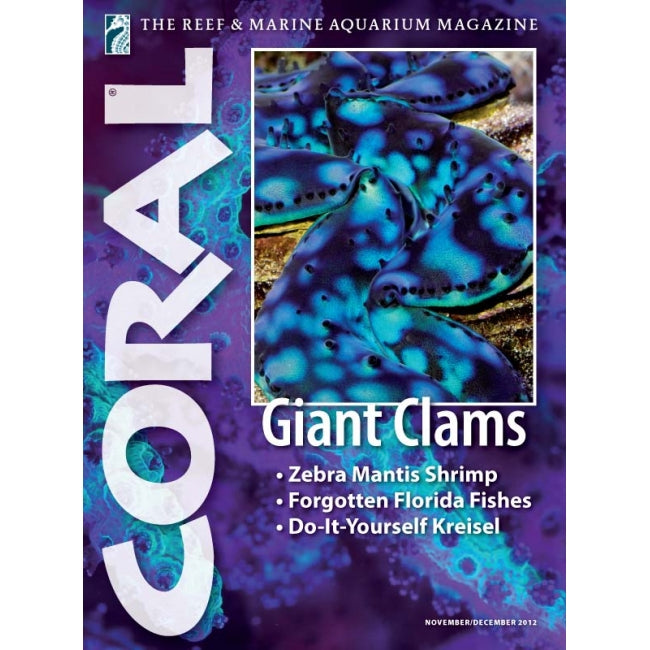 Coral - Giant Clams