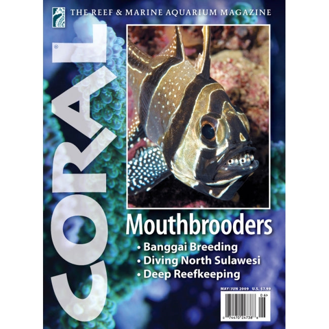 Coral - Mouthbrooders