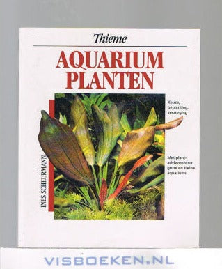 Aquarium Planten