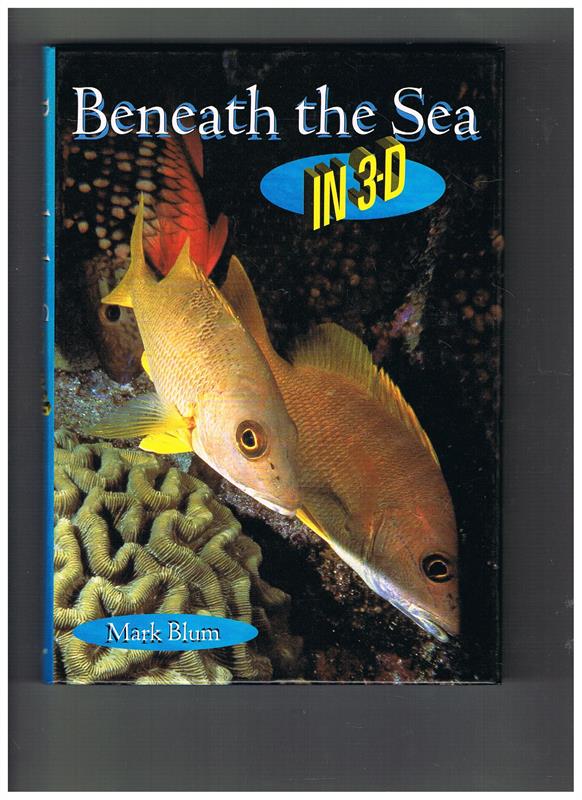 Beneath the Sea in 3-D