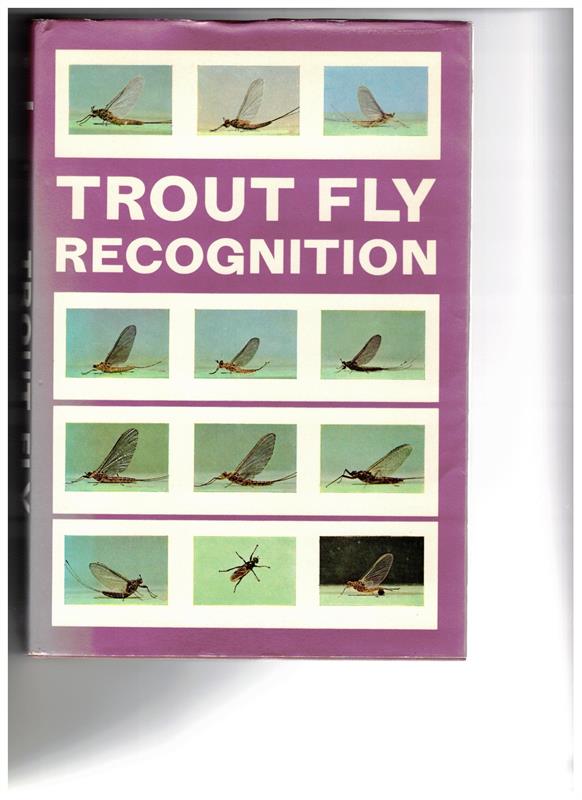 Trout fly recognition