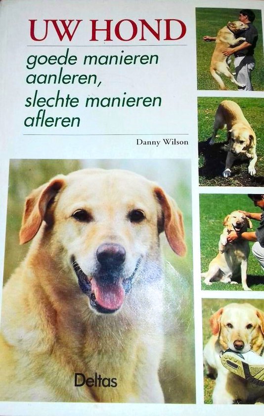 Uw hond goede manieren aanleren slechte manieren afleren