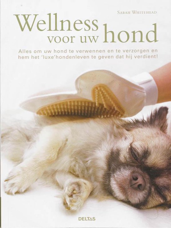 Wellness Voor Uw Hond