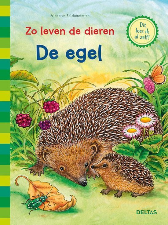 Zo leven de dieren - De egel