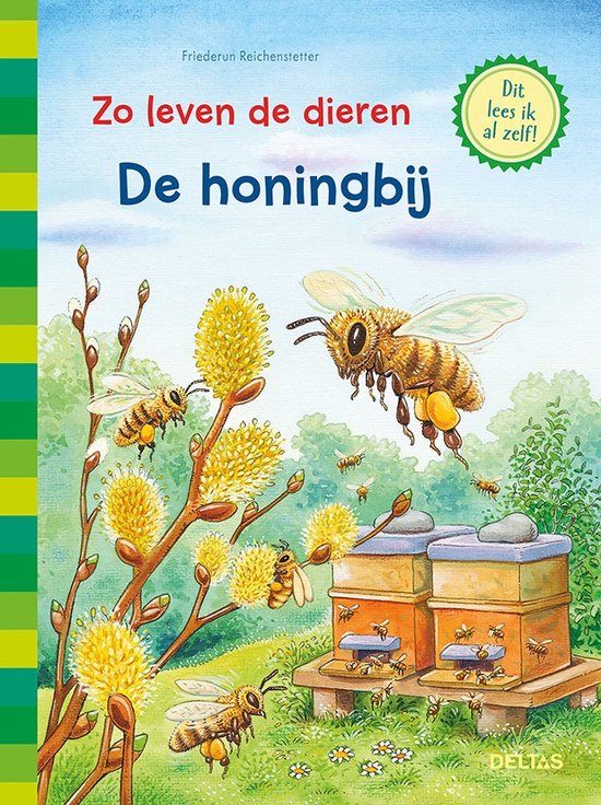 Zo leven de dieren 0 - Zo leven de dieren-De honingbij