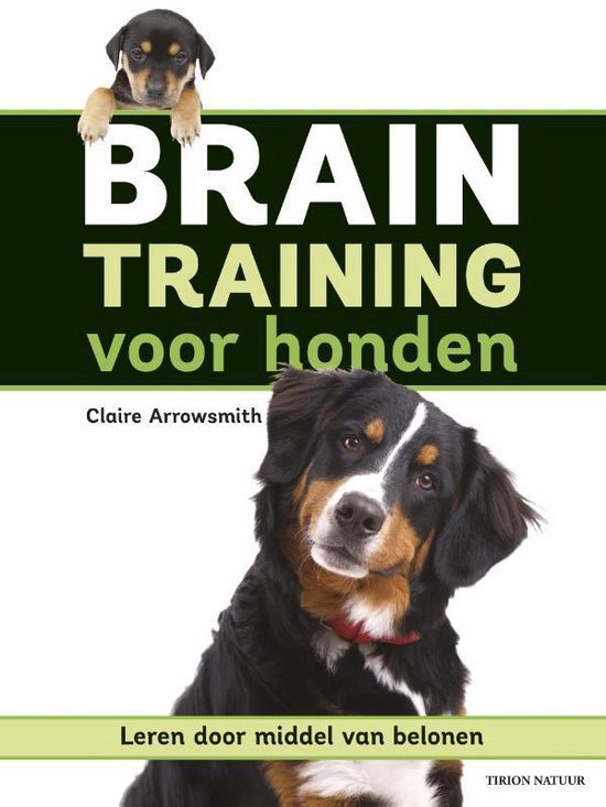 Braintraining voor honden. Leren door middel van belonen