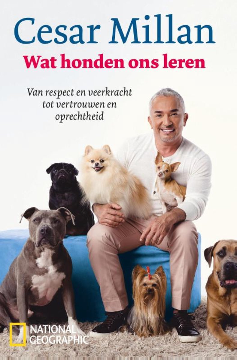 Wat honden ons leren --  van respect en veerkracht tot vertrouwen en oprechtheid