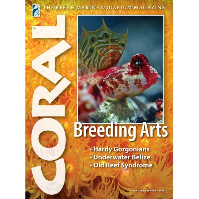 Coral - Breeding Arts