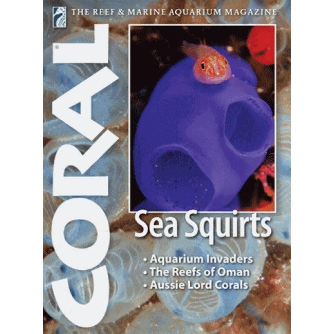 Coral -  Sea Squirts