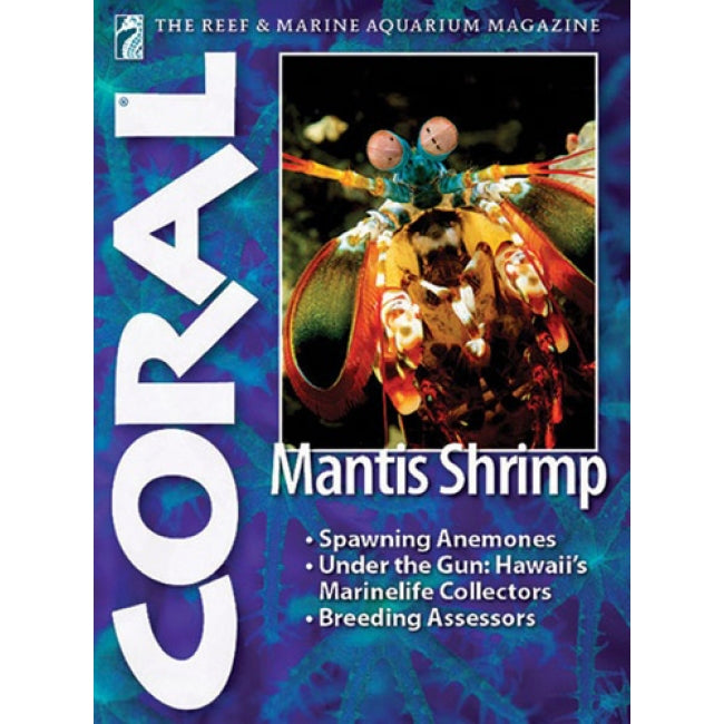 Coral - Mantis Shrimp