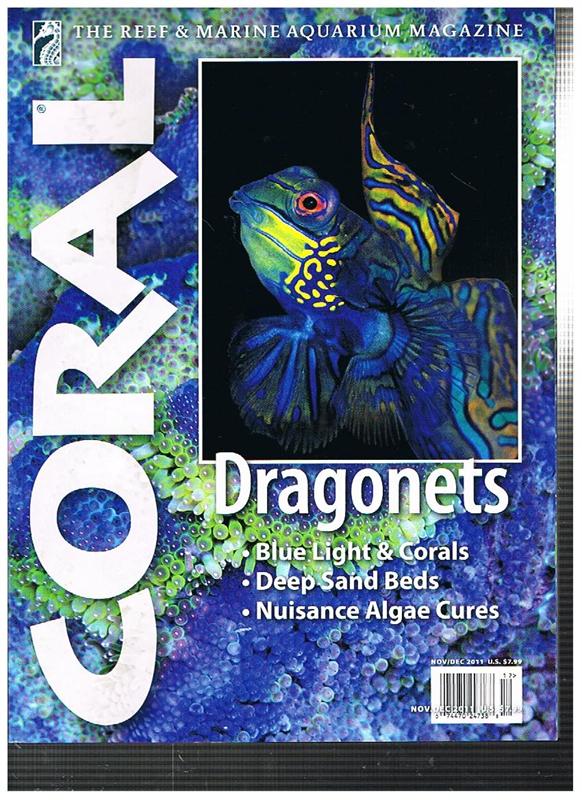 Coral - Dragonets