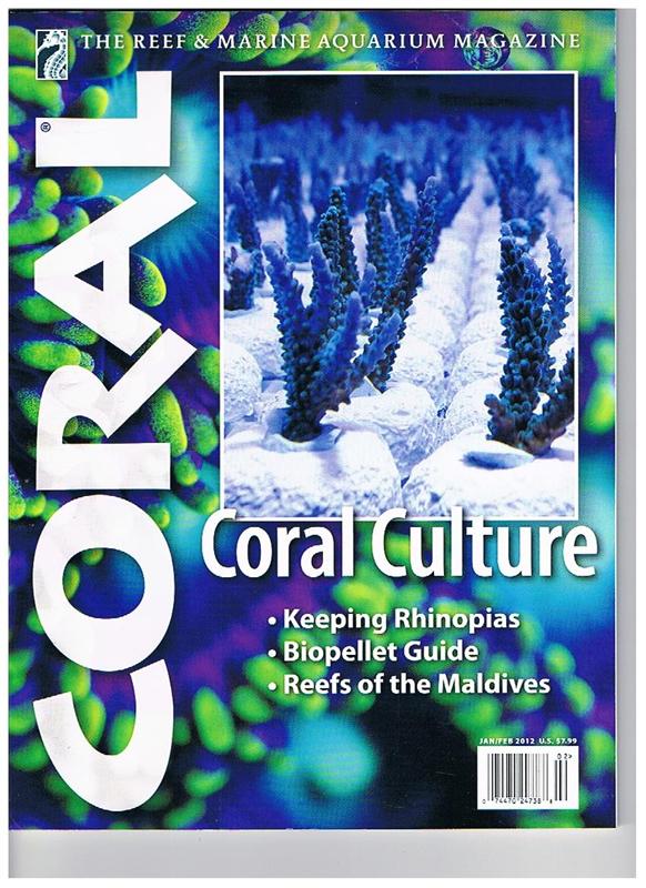 Coral - Coral Culture