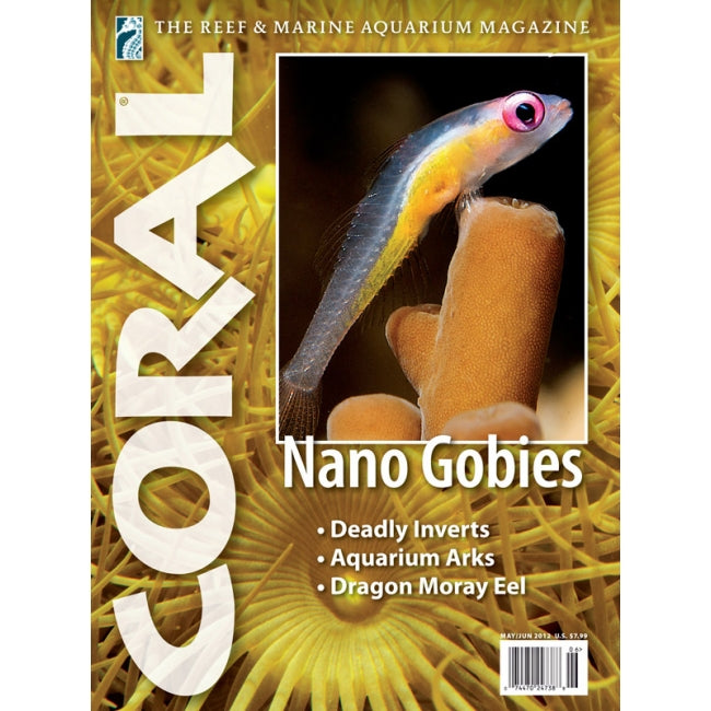 Coral - Nano Gobies