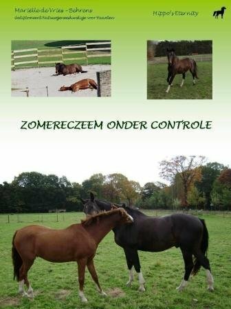 Zomereczeem onder controle - Nieuwstaat