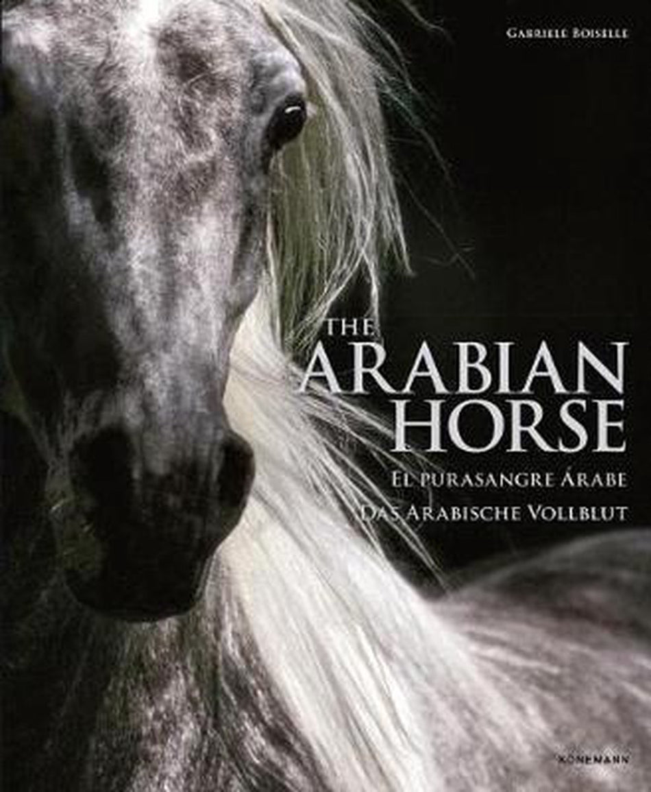 The Arabian horse - Nieuwstaat ( Arabische volbloed )